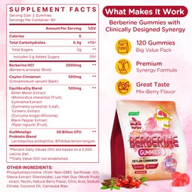 2000mg Liposomal Berberine Supplement Gummies | High Potency Berberine HCI Activates AMPK with Ceylon Cinnamon | Advanced Absorption | Zero Sugar Mixed-Berry | 120 Count