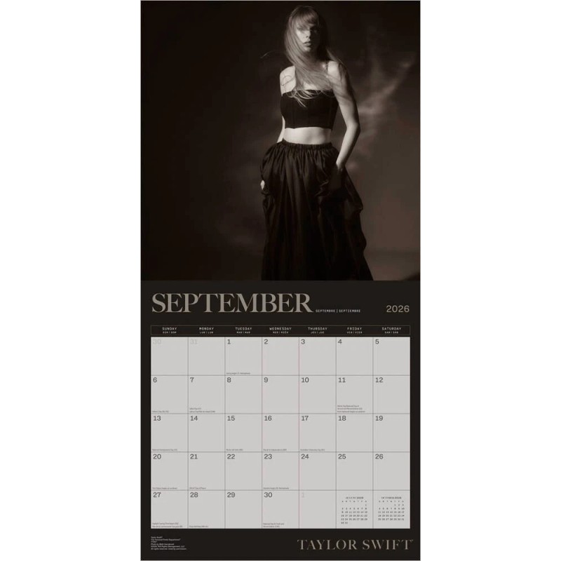 Plato Taylor Swift | 2026 12x24" 18 Months Square Wall