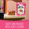 Wiley Wallaby 6 oz. Fruitrageous Drops Original Fruits Gourmet Australian