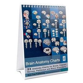 Brain Flip Charts