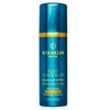 Rita Hazan Root Concealer Touch Up Spray - Instant Spray