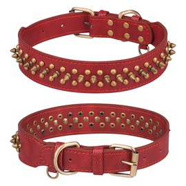 Bbmmayy Spiked Dog Collar, Mushrooms Rivet Studded Adjustable Pu Leather Pet Collars for Cats Puppy Dogs (XS, Red1)