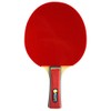 Best Sport Table Tennis Set with Bag - Multicoloured