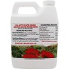 All Purpose Fertilizer (1)
