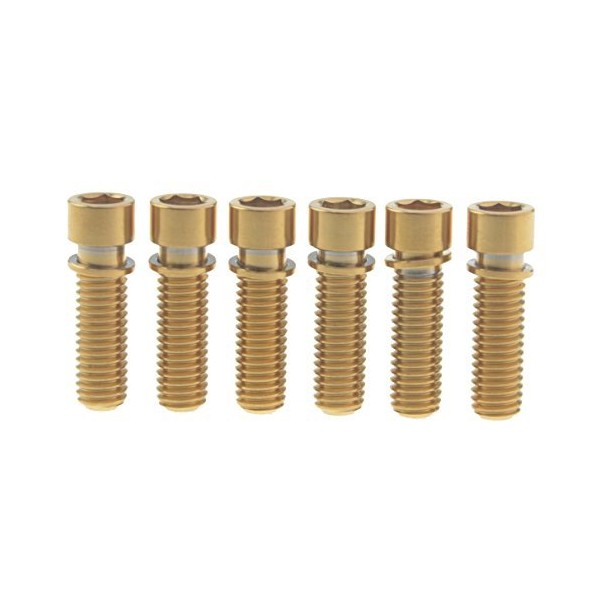 Wanyifa M8 x 25mm Titanium Ti Bolt with Washer for BMX Cycling Stem Pack of 6 (Normal Titanium)