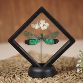 Real Green Dragonfly Beetle Bugs Plastic Frame Dried Flower Specimen Taxidermy Entomology Crystal Shelf Curiosities Gift Shadow Box Display Oddity Standing Display Table Wall Home Decor PL-83