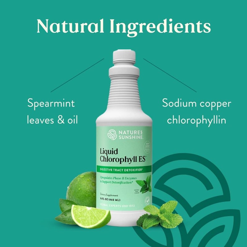 Nature's Sunshine Liquid Chlorophyll - Immunity Support, Detox & Cleanse,