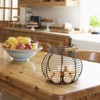 Flexzion Chicken Egg Basket Wire Egg Holder with Wooden Handles
