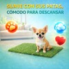 Fancy Pets Repuesto de Pasto Sintético para Tapete Doggie Grass