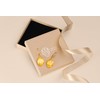 Natural Amber Earrings for Women - Gold Plated Silver Closure