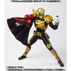 Bandai S.H.Figuarts (Sculpture Method) Kamen Rider Beast Cloak Set Not