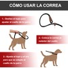 Wolfi Correa para Mascota Duradera, Correa Resistente y cómoda para