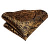 Hi-Tie Silk Paisley Ties for Men Necktie Pocket Square Cufflinks