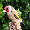 Vivid Arts - Singing Songbird – Realistic Goldfinch Bird Ornament