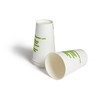 Perk Compostable Paper Hot Cup, 16 Oz., White/Green (PK56221)
