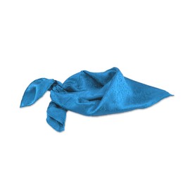 M&F Western Wild Rags Silk Jacquard Scarf Bandana Royal One Size