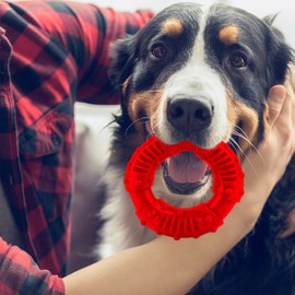 SIMENA Heavy Duty Dog Chew Toy, Natural Teething Toy for Medium & Large Breeds, Tough Durable Chewy Toy, Teeth Cleaning Tough Dog Toys (Ring, Red)