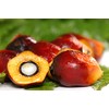 OKONATUR 100% Extra Virgin Red Palm Oil - 16 Fl