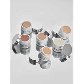 Chemerflage Cream Concealer 6g / 케머플라지 크림 컨실러 6g