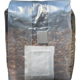 Mushroom Grow Kit - Magic All in One Mushroom Grow Bags (Pack of 1)