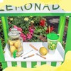 Lasnten 5 Pack Lemonade Stand Supplies Kit Straw Hole Punchers