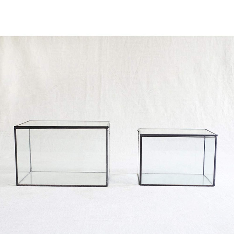 Glass Plants Terrarium with Lid,Rectangle Black Pot Box for Indoor