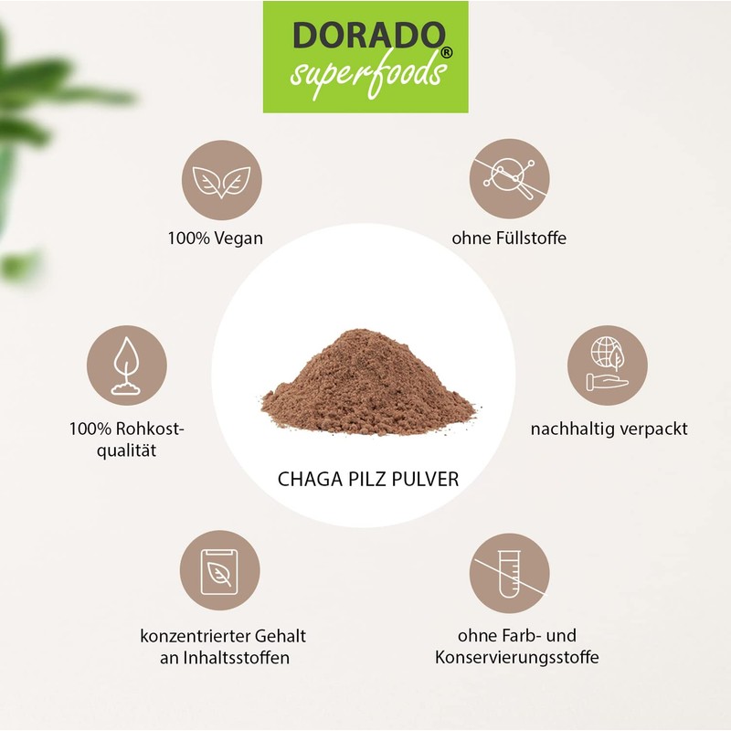 Chaga Mushroom Powder 100 g | Finely Ground from Wild