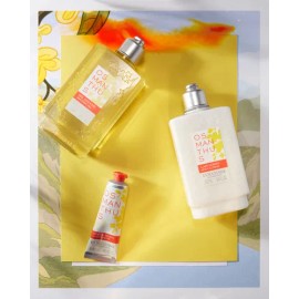 Leche De Cuerpo Osmanthus 250ml L'occitane