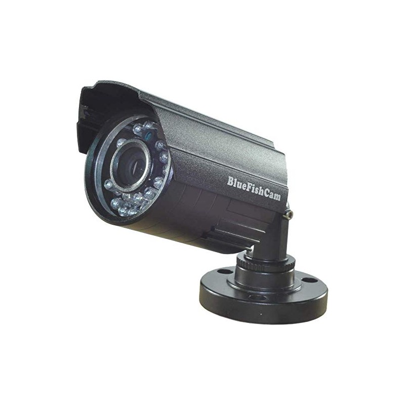 BlueFishCam Color CCTV Camera Wide Angle Lens 2.8mm CMOS 1000TVL