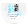 Hada Labo Roto Gokujin Hyaluronic Acid Cleansing Foam 160ml /