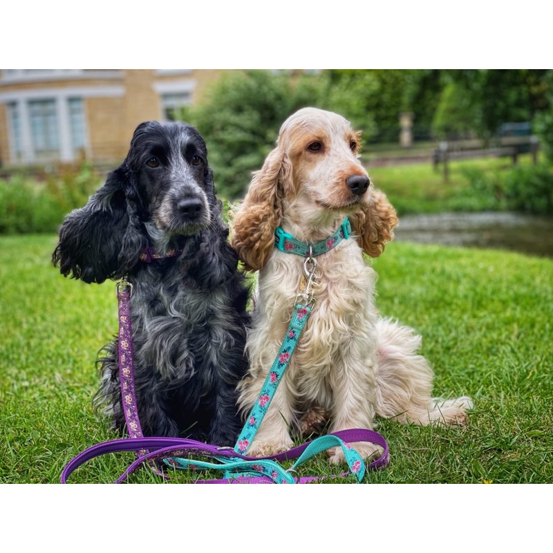YUDOTE Adjustable Mint Green Nylon Dog Collar Small with Flower