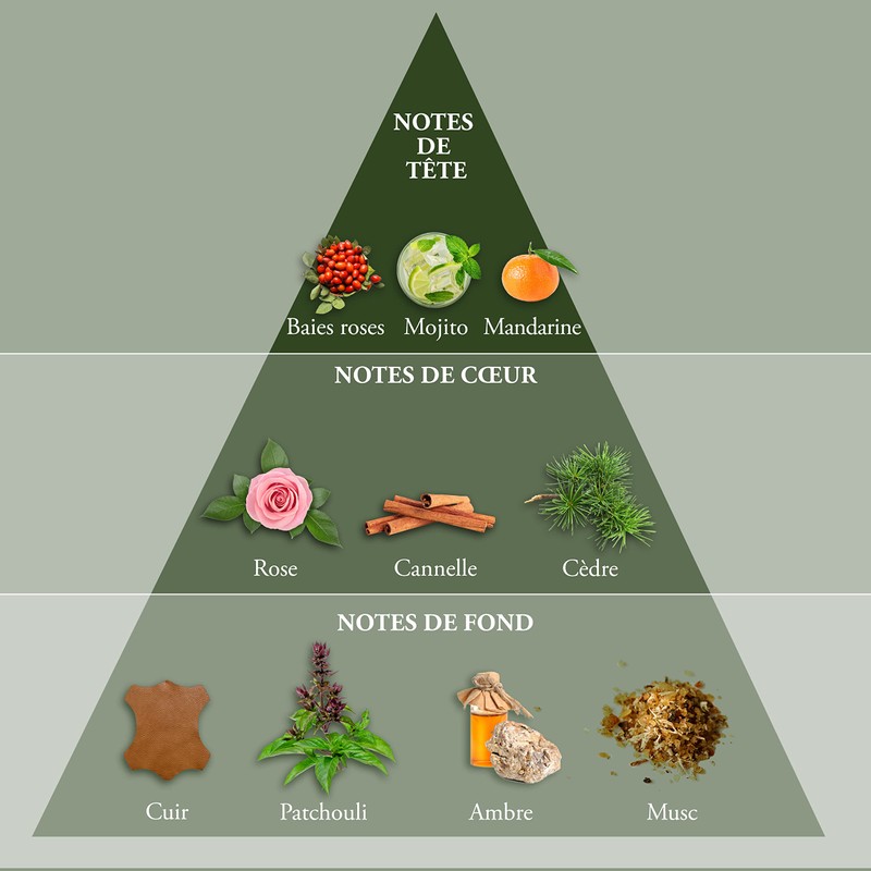 EVAFLORPARIS WHISKY ORIGIN Eau de Toilette for Men – Bold