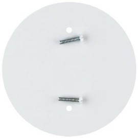 Westinghouse Lighting 7006500 White Outlet Concealer