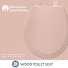 Bemis 500EC 063 Toilet Seat with Easy Clean & Change