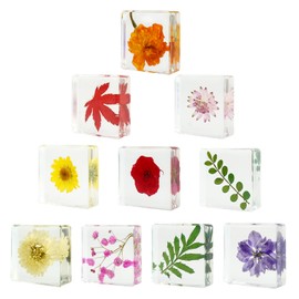 ShioShin 10PCS Dried Flower Paperweight Pressed Flower Paper Weight Real Resin Crafts Decoration Pattern Paper Weights for Women Gifts Outdoor Office Desk Ornaments Christmas