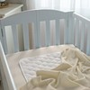 American Baby Company Fitted Mini Crib Sheet 24" x 38",