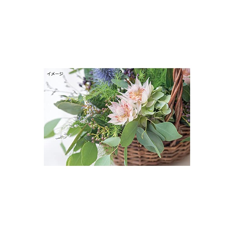 Posh Living 11611 Pot Cover, Garden Basket, Wide, L Size