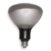 Incandescent Floodlight, R40, 250W