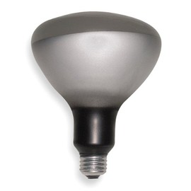 Incandescent Floodlight, R40, 250W