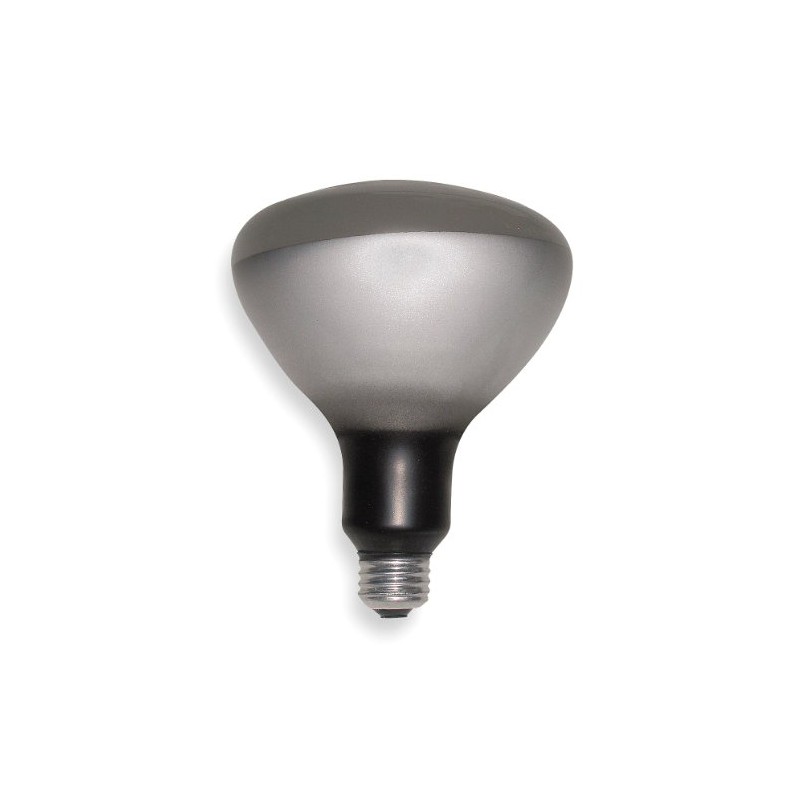 Incandescent Floodlight, R40, 250W