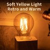 12Pack 2200k Led Light Bulb, Vintage A19 Edison Bulbs, Dimmable