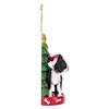 Kurt Adler Boston Terrier With Christmas Tree Ornament
