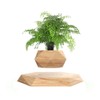 KIYOMING Levitating Plant Pot Hexagon Floating Air Bonsai Pot Suspension