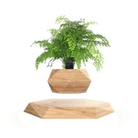 KIYOMING Levitating Plant Pot Hexagon Floating Air Bonsai Pot Suspension Flowerpot Planter for Office Home Decoration