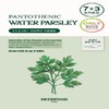 Skinfood Water parsley mask sheet 7 sheets (+3 sheets planned)