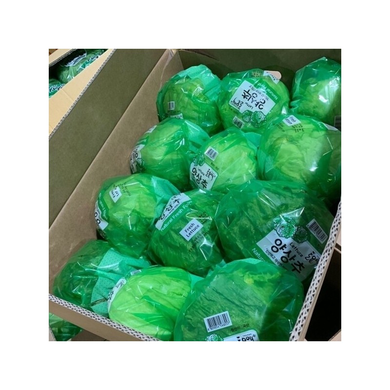 3 domestic lettuce, approximately 1.2kg / 국내산 양상추 3개 1.2kg