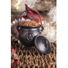 Cauldron Cast Iron Witchcraft Pentagram Incense Burner