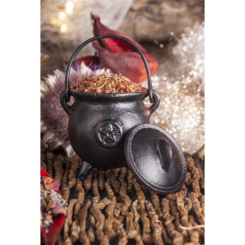 Cauldron Cast Iron Witchcraft Pentagram Incense Burner