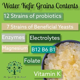 Water Kefir Grains | Starter Cultures | Bulgaros de Agua Vivos, Naturally Dried Dormant for Safe Shipping Ready for Activation, No GMO, Caffeine-Free, Keto Friendly The Spirit Of The Forest 7.2 gr