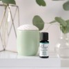 Ellia Eucalyptus Diffuser Essential Oil | 15ml, 100% Pure, Therapeutic